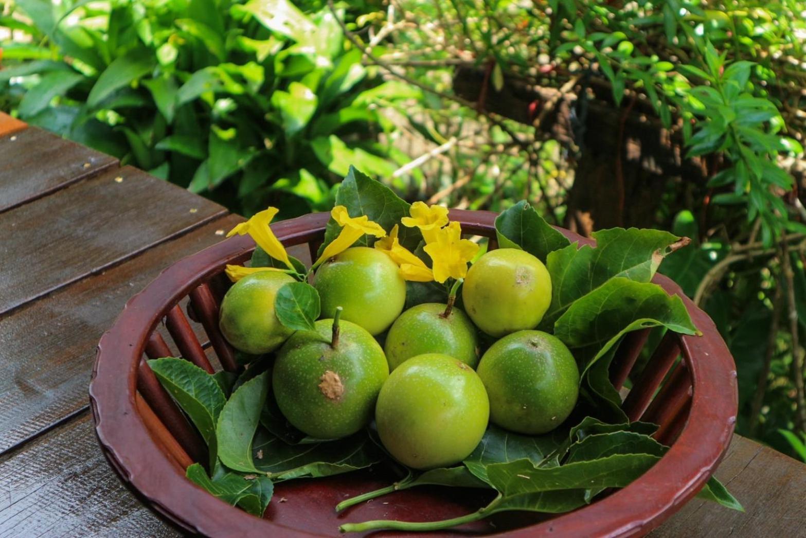 Hillhouse - Koh Yao Noi Bed & Breakfast Ngoại thất bức ảnh